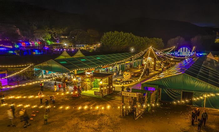 Pumpkin Fest Nights